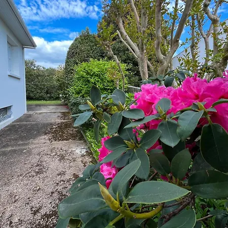 Jolie Maison Avec Jardin - Quartier La Rouliere - 4 Personnes Ferienhaus Les Sables-dʼOlonne